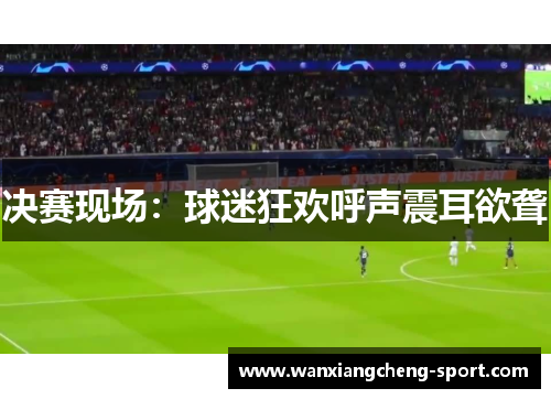 决赛现场：球迷狂欢呼声震耳欲聋