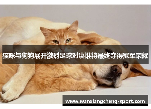 猫咪与狗狗展开激烈足球对决谁将最终夺得冠军荣耀