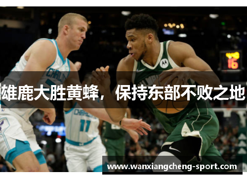 雄鹿大胜黄蜂，保持东部不败之地